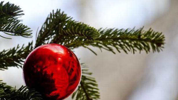 Natale Notizie.Albero Natale Prende Fuoco In Casa Piazza Rossetti Notizie Vasto
