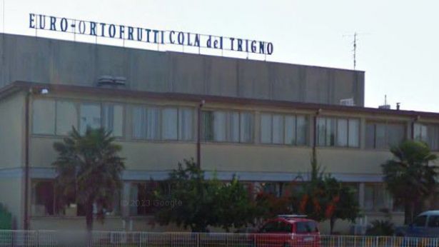 La Euro Ortofrutticola di San Salvo