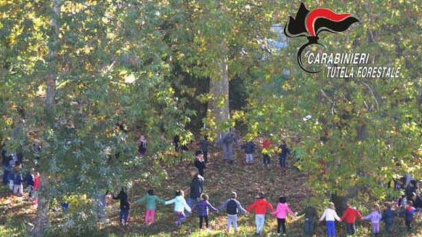 Festa degli alberi