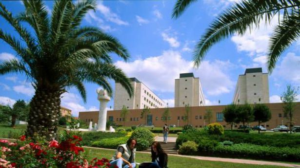Università