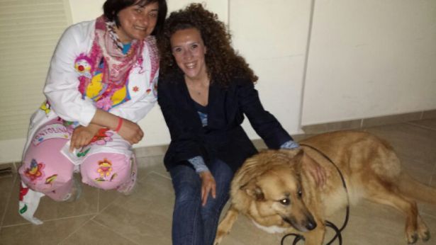 Pet therapy con Kira