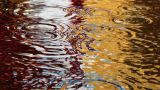 Pozzanghere d'acqua
