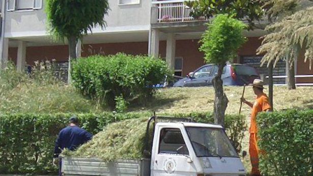 Lo sfalcio delle erbe