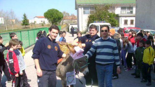 Nella foto: gli asini Spirit e Melody impegnati nel trasporto dei tappi di plastica
