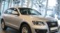 Audi Q5 2010