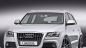 Audi Q5 2010