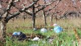 località Piana di Marco frazione a confine tra Vasto e San Salvo