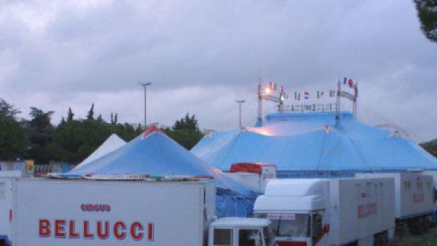 Circo Bellucci