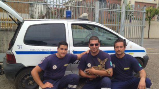 Frangione al centro nella foto