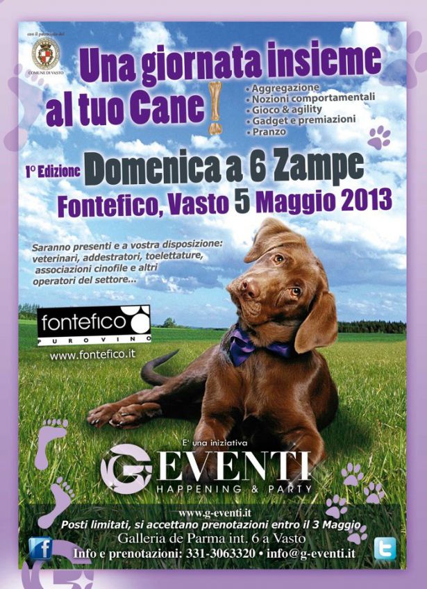 DOMENICA A 6 ZAMPE