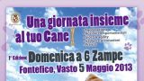 DOMENICA A 6 ZAMPE