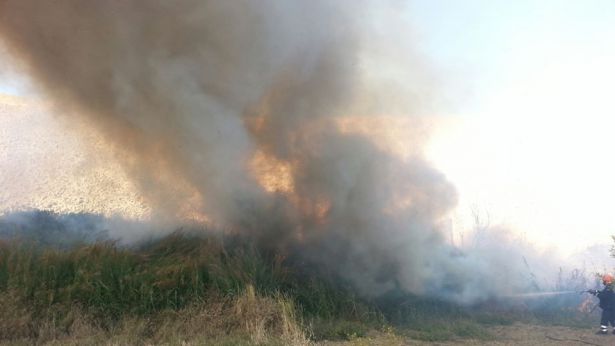 Un incendio