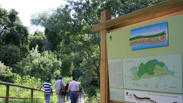 BOSCO DI DON VENANZIO