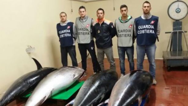 I tonni sequestrati