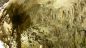 Grotte del Cavallone
