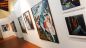 Mostra di Angelucci