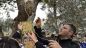 San Salvo: Albero della Legalità