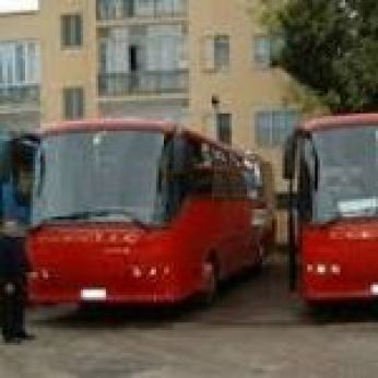 Cerella Bus