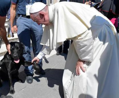 Papa Francesco accarezza il labrador