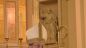 Ordinazione Sacerdotale di Tony Zinni
