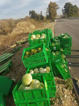 Gli ortaggi scaricati dal mezzo