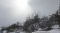 Neve