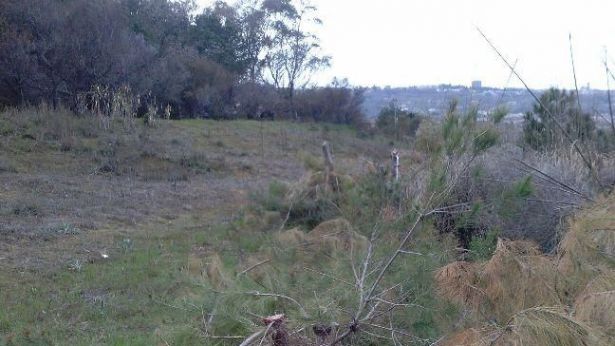 Riserva Vasto Marina