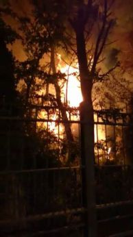 Fuoco nella Pineta Dannunziana