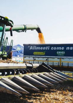 Grigi acquisisce Dell'Aventino