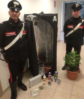 L'armadietto usato per coltivare la droga