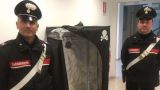 L'armadietto usato per coltivare la droga
