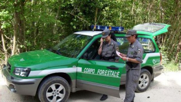 Carabinieri Forestali