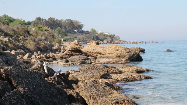 La costa
