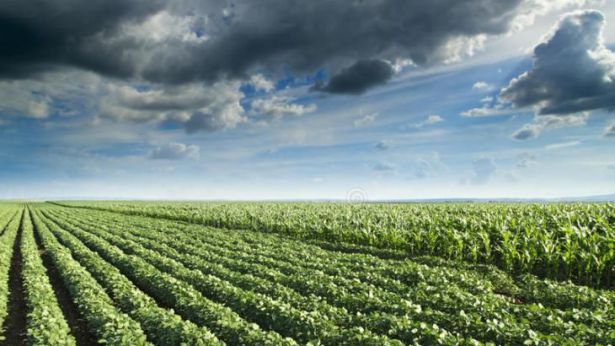 Agricoltura