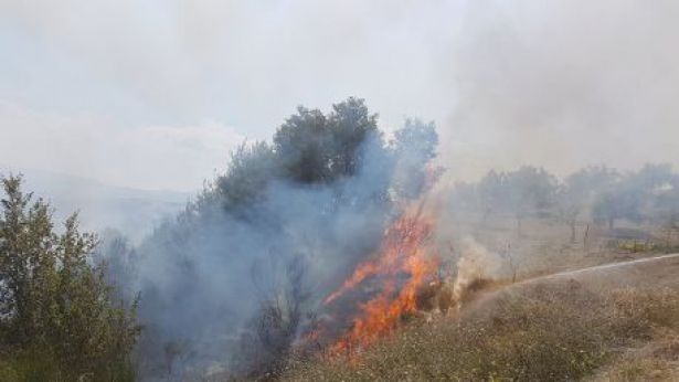 Incendio
