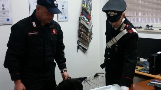 Carabinieri