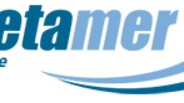 Metamer: il logo