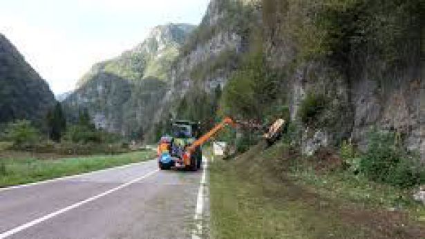 Sfalcio dell'erba