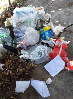 Rifiuti abbandonati