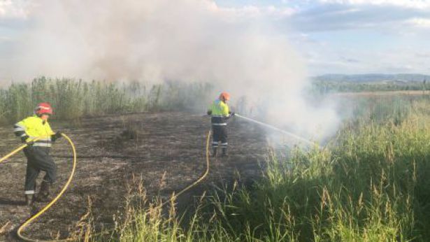 Sterpaglie a fuoco