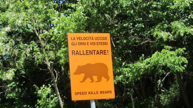 Segnaletica nel parco