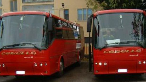 Due mezzi della Cerella Bus