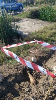L'ordigno venuto alla luce a Termoli