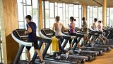 Una palestra