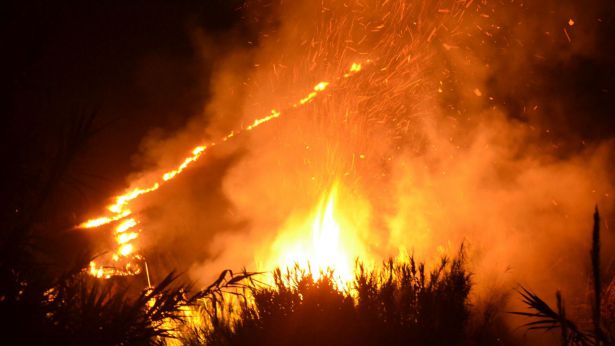 Un incendio