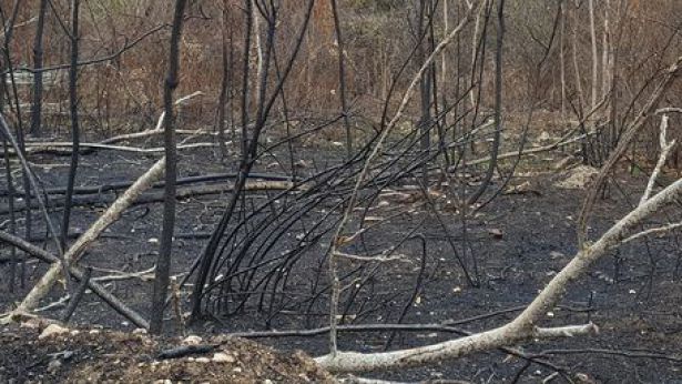 Incendio domato