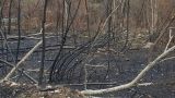 Incendio domato