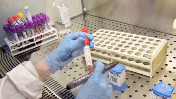Laboratorio