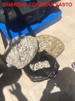 Le vongole sequestrate