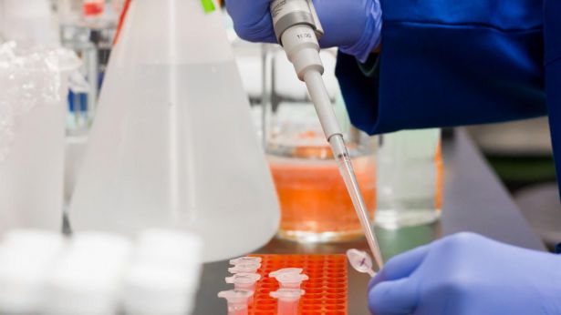 Laboratorio